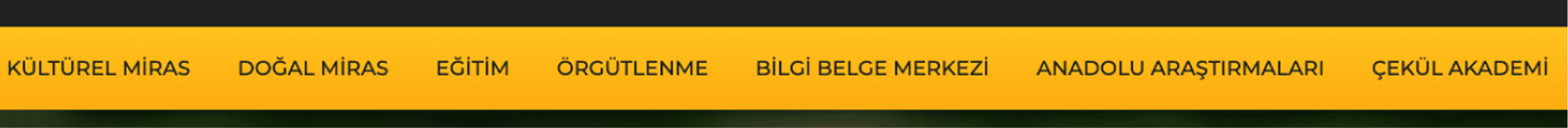 Program renkleri önce 1
