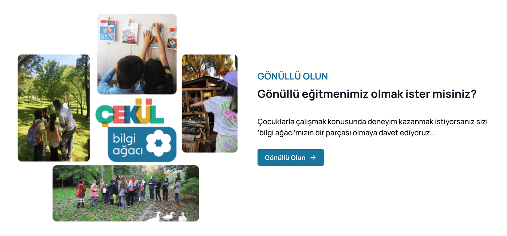 Renk sistemi örneği 1