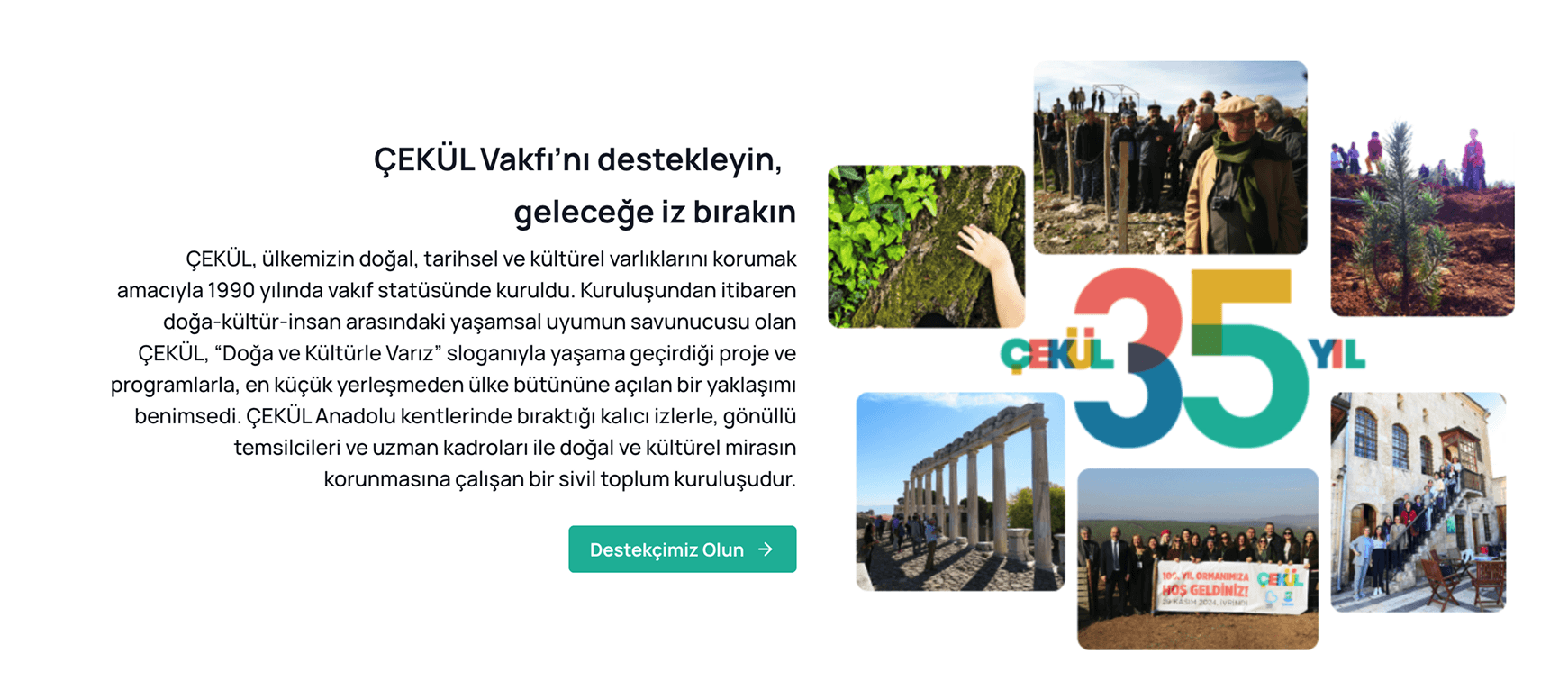 Renk sistemi örneği 2